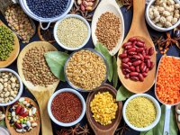 آشنایی با مهم ترین دانه های روغنی و فواید هریک از آنها برای بدن