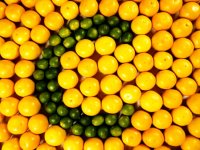 ۷ فایده معجزه آسای ویتامین C برای بدن انسان