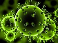 زندگی ما پس از بحران کرونا چه تغییراتی می‌کند؟