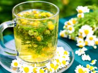 چای سیستوس و تمام فواید بی نظیر آن برای سلامتی