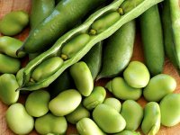 خواص شگفت انگیز باقلا برای سلامت بدن