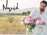 عطر نوید محمدزاده رونمایی شد + عکس
