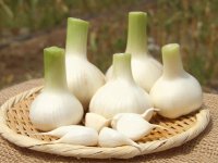خاصیت‌ شگفت‌انگیز سیر خام برای سلامتی