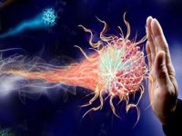 چند نکته خیلی مهم برای پیشگیری از کرونا در روزهای کرونایی