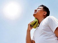 بهترین غذا‌ها برای  فصل گرم