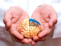 نقش تغذیه در تقویت حافظه