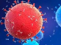 شناسایی ۲۶۷۴ بیمار جدید کووید-۱۹