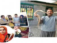 زندگی عجیب شهروند کرمانشاهی با خزندگان مرگبار