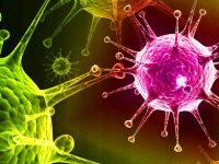 ۲۱۱۳ ابتلا و ۱۴۱ فوتی جدید کرونا در کشور