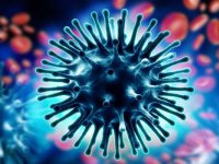 شناسایی ۲۱۱۵ مورد جدید ابتلا به کرونا