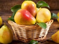 طبع گلابی سرد است یا گرم؟