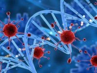 باز هم کرونا در کشور رکورد زد ؛۴۸۳۰ ابتلا و ۲۷۹ فوتی جدید در ۲۴ ساعت گذشته