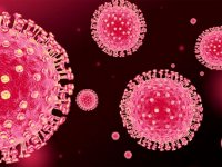 آداب خروج از قـرنطینه