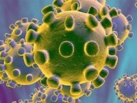 ۴۳۴ فوتی جدید کرونا در کشور ؛۵۲۴۴ تن در شرایط شدید بیماری