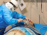 شناسایی ۱۰۴۶۳ بیمار جدید کرونا در کشور ؛۴۵۸ تن جان باختند