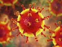 ۲۹۴ فوتی جدید کرونا در کشور؛شناسایی ۱۱۵۶۱ بیمار دیگر