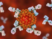 ۲۹۵ فوتی جدید کرونا در کشور؛ ۱۰۲۲۳ بیمار دیگر شناسایی شدند