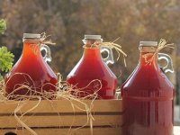 با کپک رب و آب غوره را چه کنیم؟
