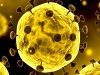 کاهش آمار فوتی های کرونا به زیر ۲۰۰