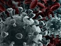 ۱۹۱ فوتی جدید کرونا در کشور؛ ۶۱۵۱ بیمار دیگر شناسایی شدند