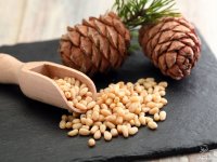 آشنایی با خواص چلغوز؛ از تقویت قوای جنسی تا ...