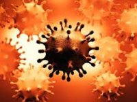 آخرین آمار کرونا در ایران؛ فوت ۱۶۱ بیمار در شبانه روز گذشته