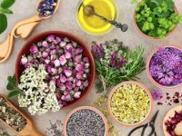 برطرف کردن کم خونی به کمک گیاهان دارویی