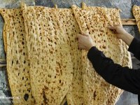 فروش کیلویی نان شروع شد؟