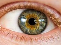 چگونه از بینایی در سن بالا خود مراقبت کنیم؟