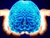 عوامل افزایش سکته‌های مغزی در جهان