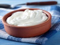 راز ماست خوشمزه به سبک بلغاری: فقط چند مورچه به شیر اضافه کنید