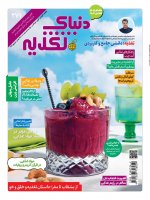 اشتراک 3 ماهه مجله دنیای تغذیه