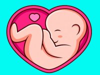 آماده سازی شرایط برای «مادر شدن» در وقتی دیگر