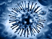 هم‌زمانی آنفلوانزا و آلودگی هوا