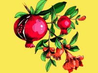 یلدا با طعم سلامتی