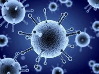 هشدار مینو محرز: موج جدید آنفلوآنزا شدیدتر است؛ احتمال مرگ وجود دارد