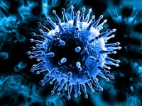 آنفلوآنزا در ۸ استان بالاتر از حد هشدار