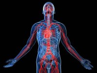 ۱۰ تغییر در بدن شما که می‌تواند چیز‌های زیادی درباره سلامتی شما بگوید