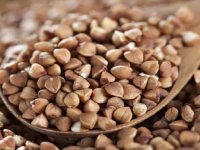 آشنایی با خواص «گندم سیاه»