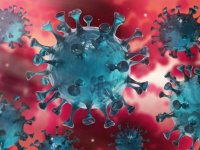 ۲۷۴ فوتی و ۲۳۳۱۱ مبتلای جدید کرونا در کشور