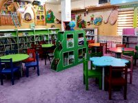 نقش پررنگ کتابخانه‌های عمومی در رشد فکری و اجتماعی کودکان