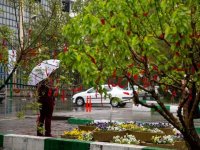 این ۱۰ استان منتظر باران باشند