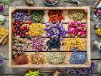 آیا با مصرف برخی گیاهان و داروها فشارخون را می توان کاهش داد؟