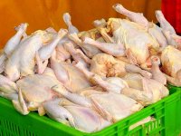 خرید مرغ در اصفهان با کارت ملی الزامی شد