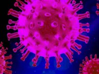 ۱۲۱ فوتی جدید کرونا در کشور؛ ۵۹۰۸ بیمار دیگر شناسایی شدند