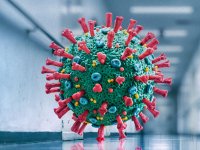 کشف مخزن ویروس کرونا در بدن انسان