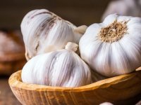 فواید شگفت انگیز خوردن سیر با معده خالی