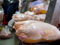 قیمت جدید مرغ را ببینید ؛ به این شرط قیمت مرغ می‌ریزد