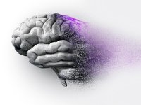 چگونه می‌توان از بروز آلزایمر پیشگیری کرد؟