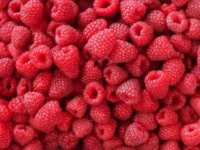 اهمیت گوگرد در بدن و اثرات کمبود آن